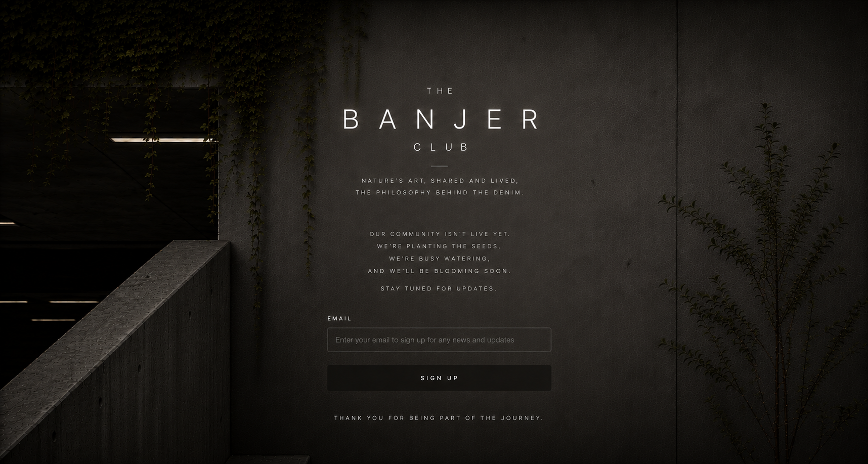The Banjer Club — coming soon
